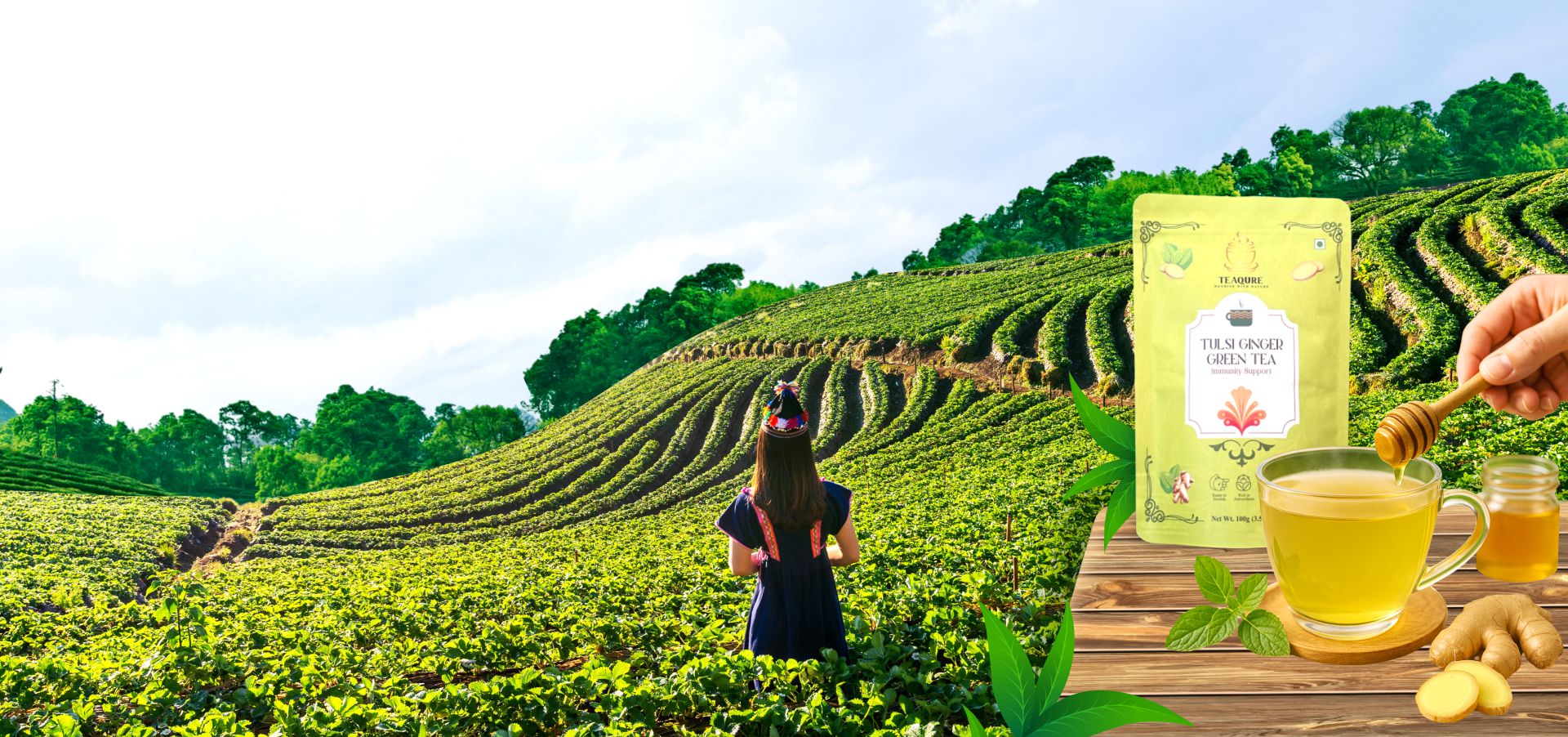 Tulsi Ginger Green Tea