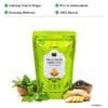 TeaQure Tulsi Ginger - Calming Tulsi & Ginger, Rich in Antioxidants, Everyday Wellness