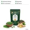 TeaQure Moringa Ginger - Nutrient-Rich Moringa, Zingy Ginger, Rich in Antioxidants