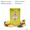 TeaQure Lemon Ginger - Zesty Lemon & Ginger, Rich in Antioxidants, Refreshing Pick-Me-Up