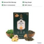 TeaQure Moringa Ginger - Nutrient-Rich Moringa, Zingy Ginger, Rich in Antioxidants