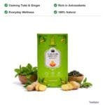 TeaQure Tulsi Ginger - Calming Tulsi & Ginger, Rich in Antioxidants, Everyday Wellness