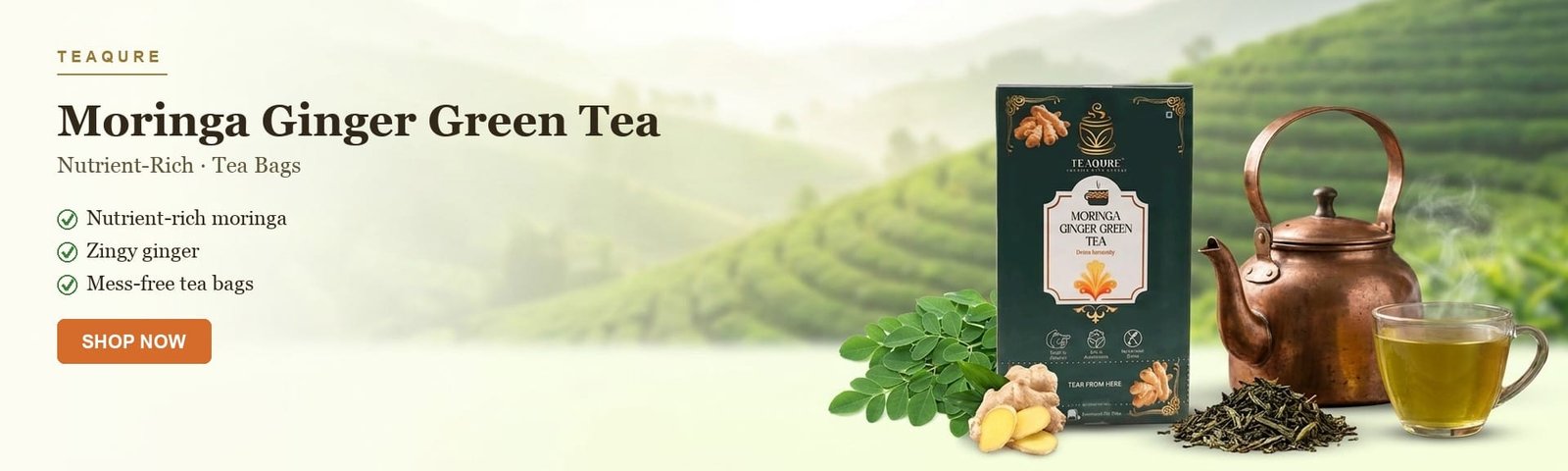 tb-moringa2-banner