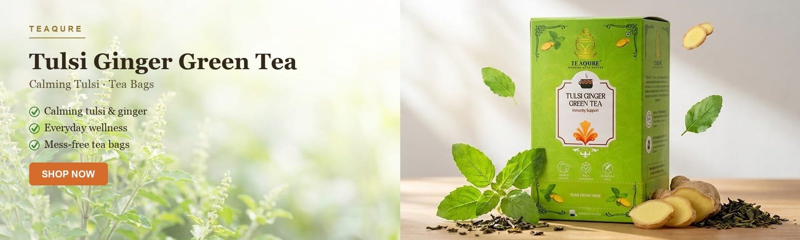 tb-tulsi-banner